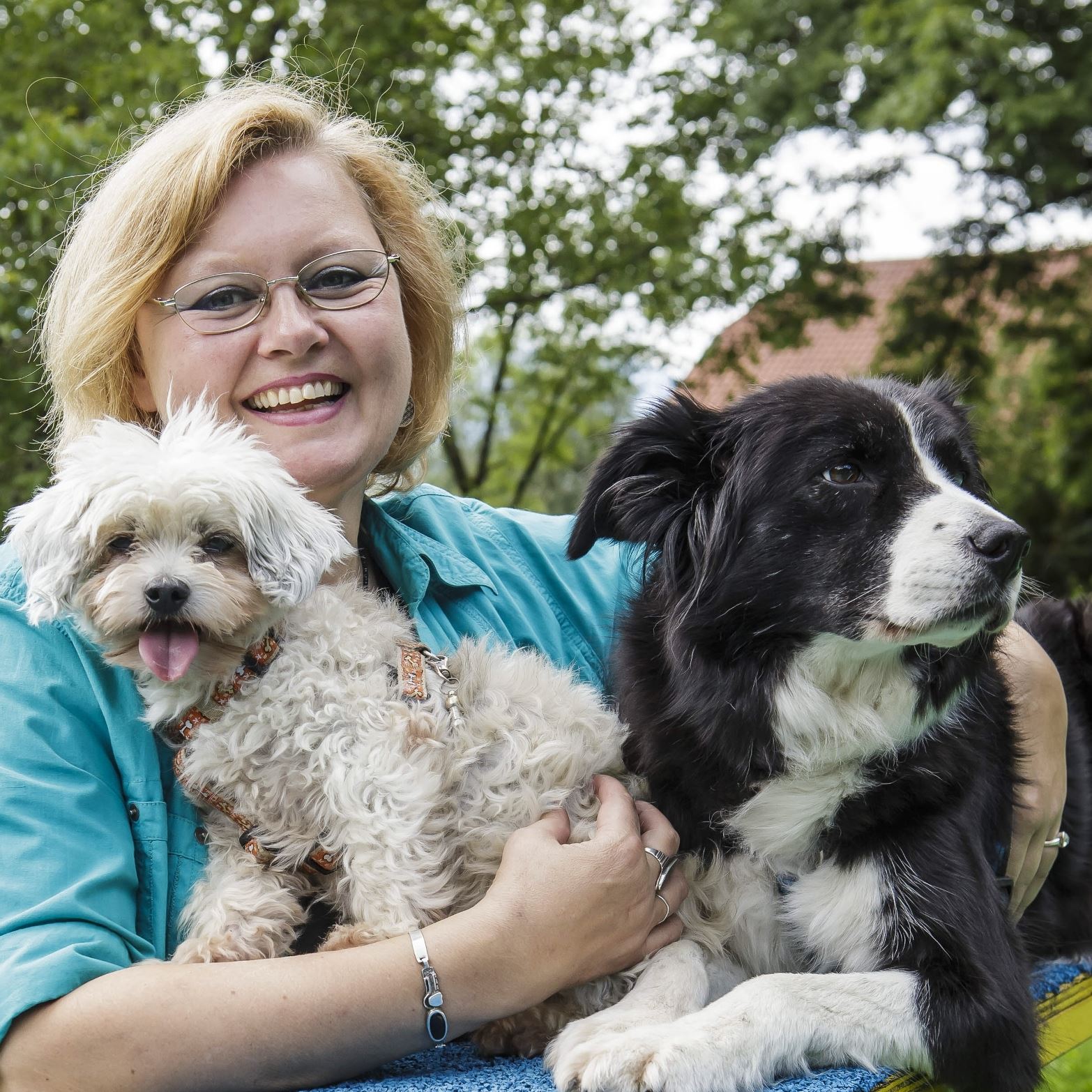 BARF Hunde richtig belohnen und was BARFer als Leckerchen nutzen