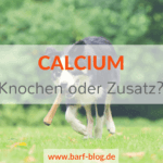 Calcium Kalzium Knochenfütterung