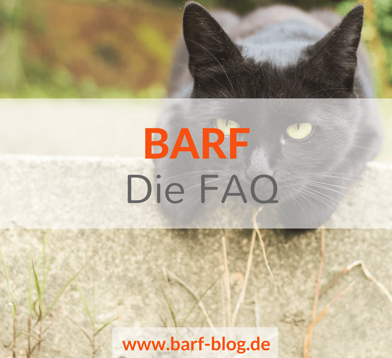 BARF FAQ Fragen