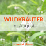 wildkräuter im August