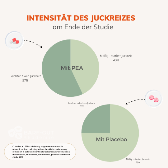 Studie Katzen Juckreiz PEA