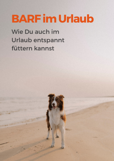 Wie im Urlaub füttern, wenn man barft?