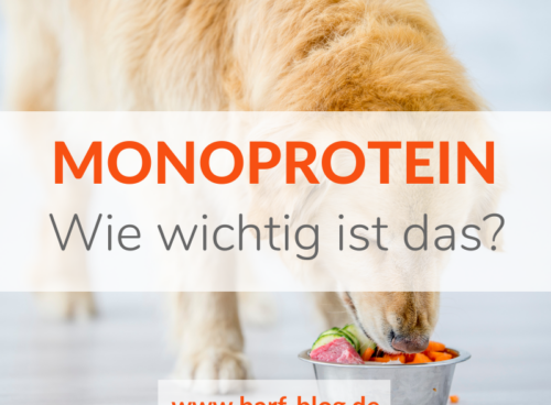 Monoprotein - Sinnvoll oder überbewertet?