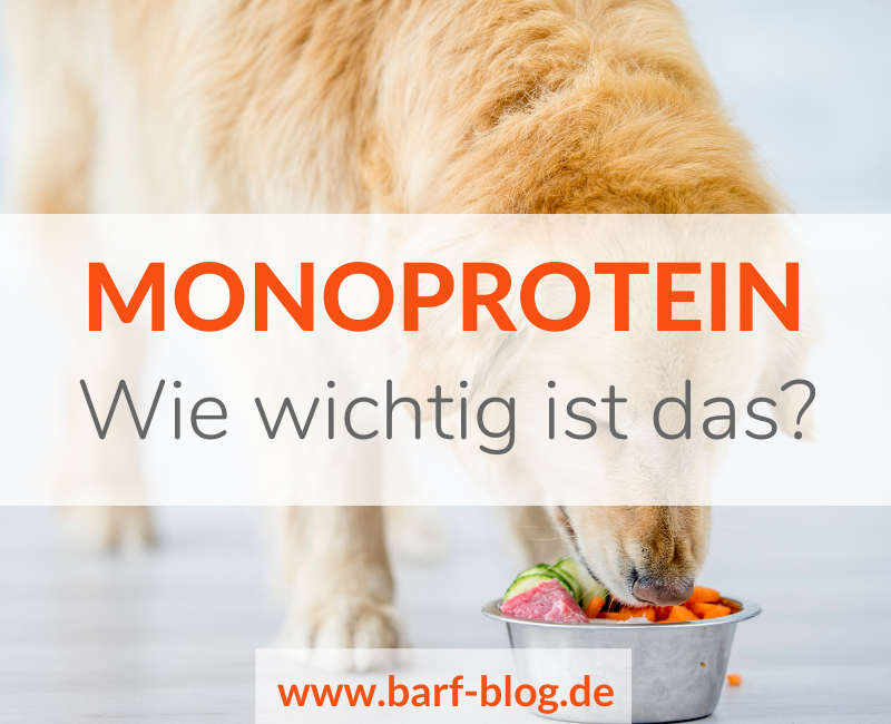 Monoprotein - Sinnvoll oder überbewertet?