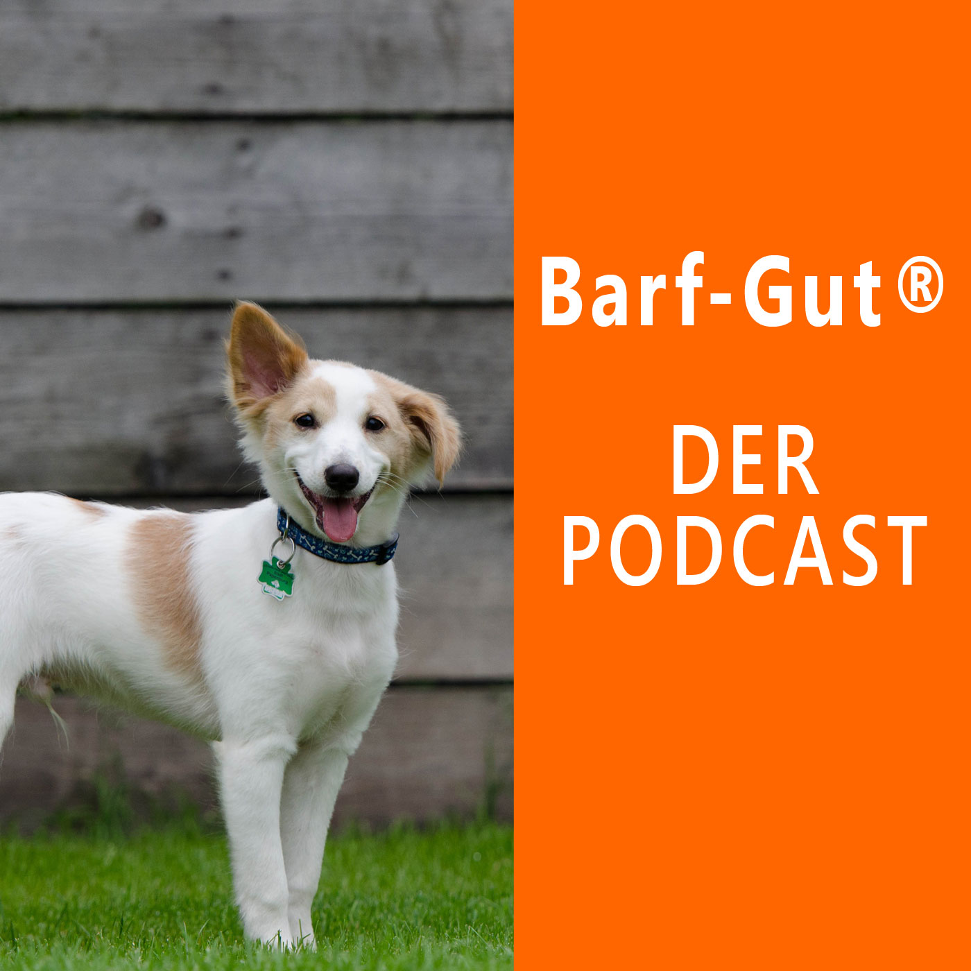 Barf-Gut  - Der Podcast